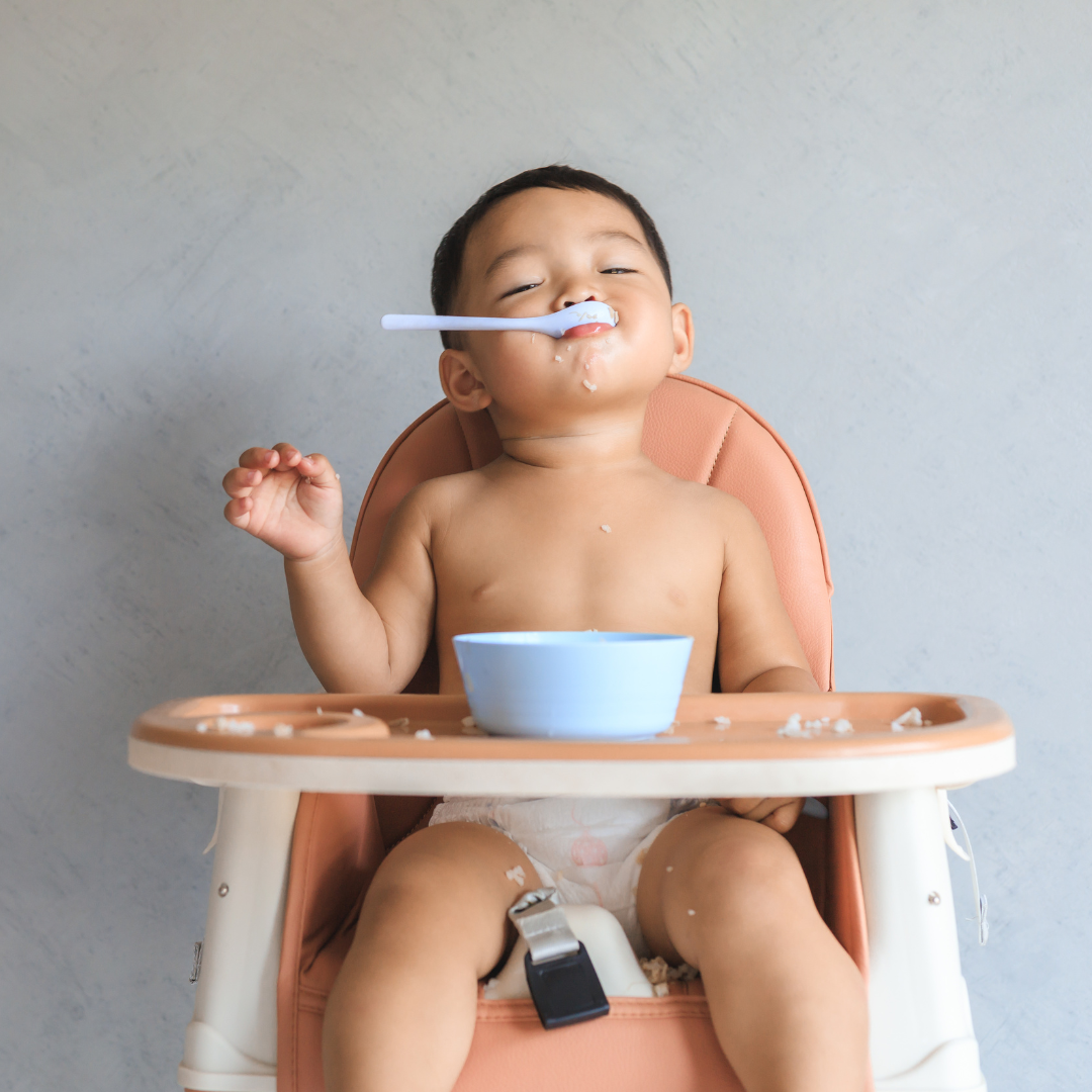 Solid Food & Nutrition